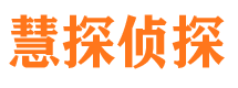 珠山市调查公司